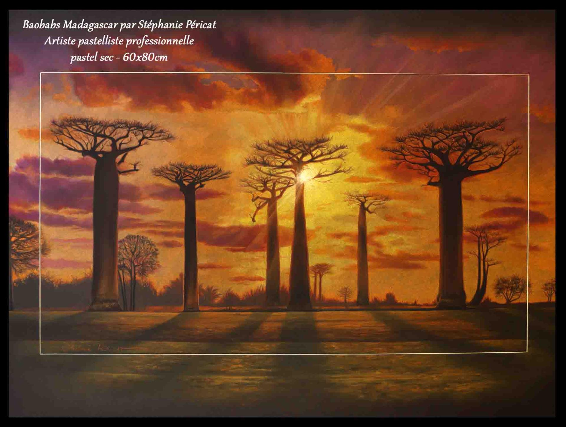 Baobabs de Madagascar - 60x80cm