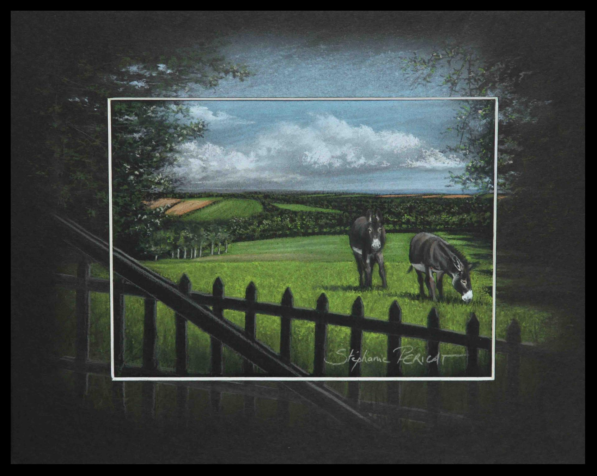 ânes normands à barneville carteret(normans donkeys at barneville carteret) -  24x30cm