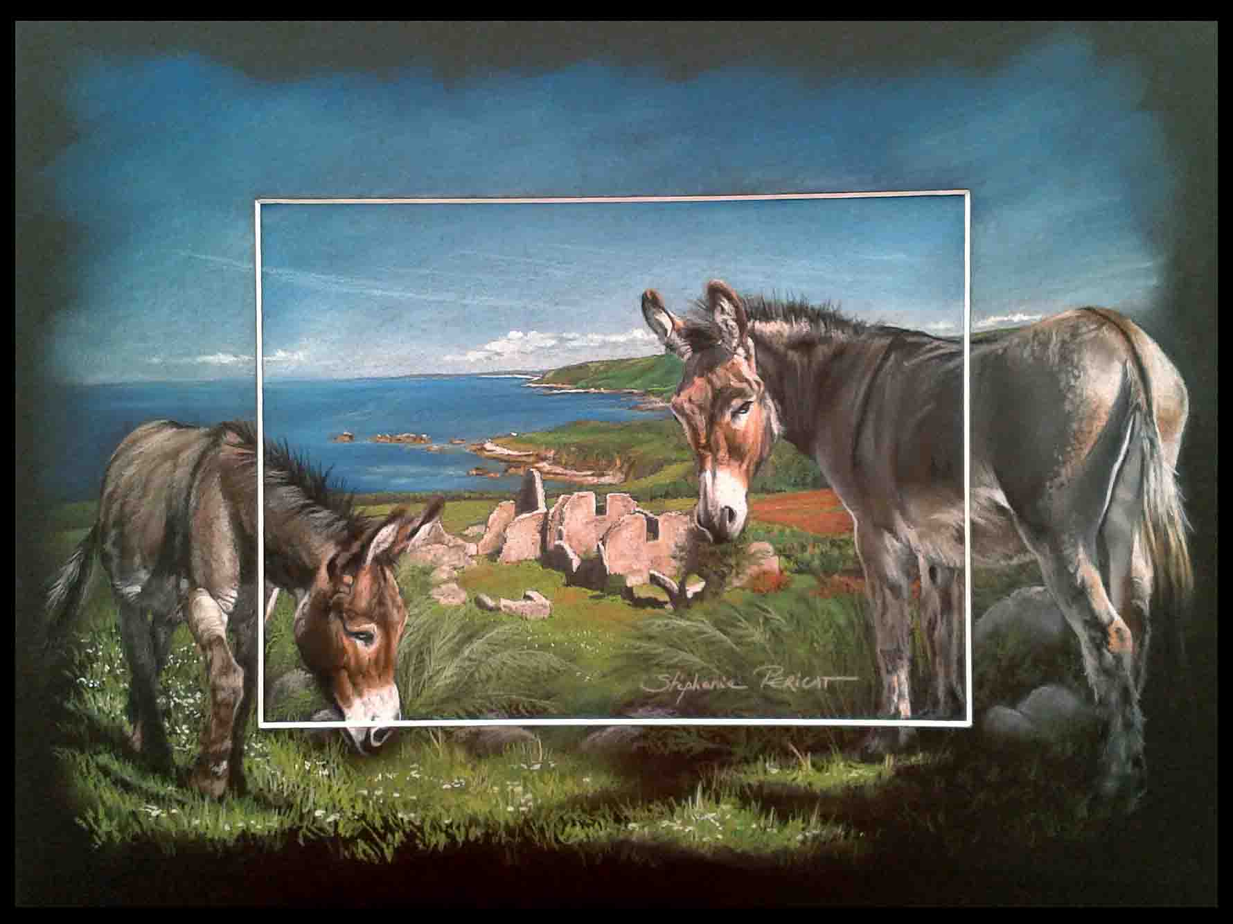 ANES DU COTENTIN AUX RUINES DE LA COTENTINE (donkeys of cotentin in ruins of the farm cotentine) -  30x40cm