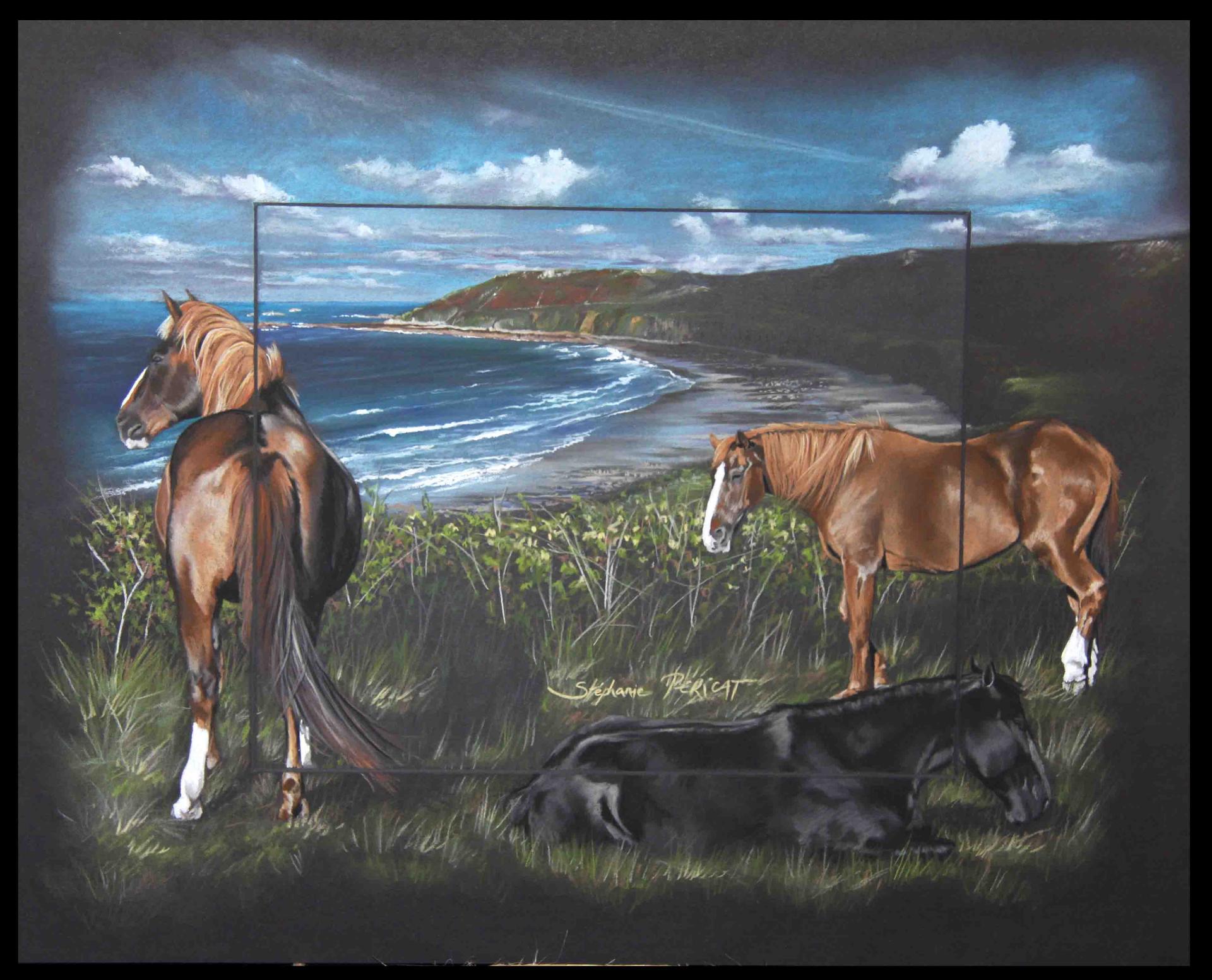 BAIE D'ECALGRAIN ET CHEVAUX (bay of ecalgrain and horses) -  40x50cm