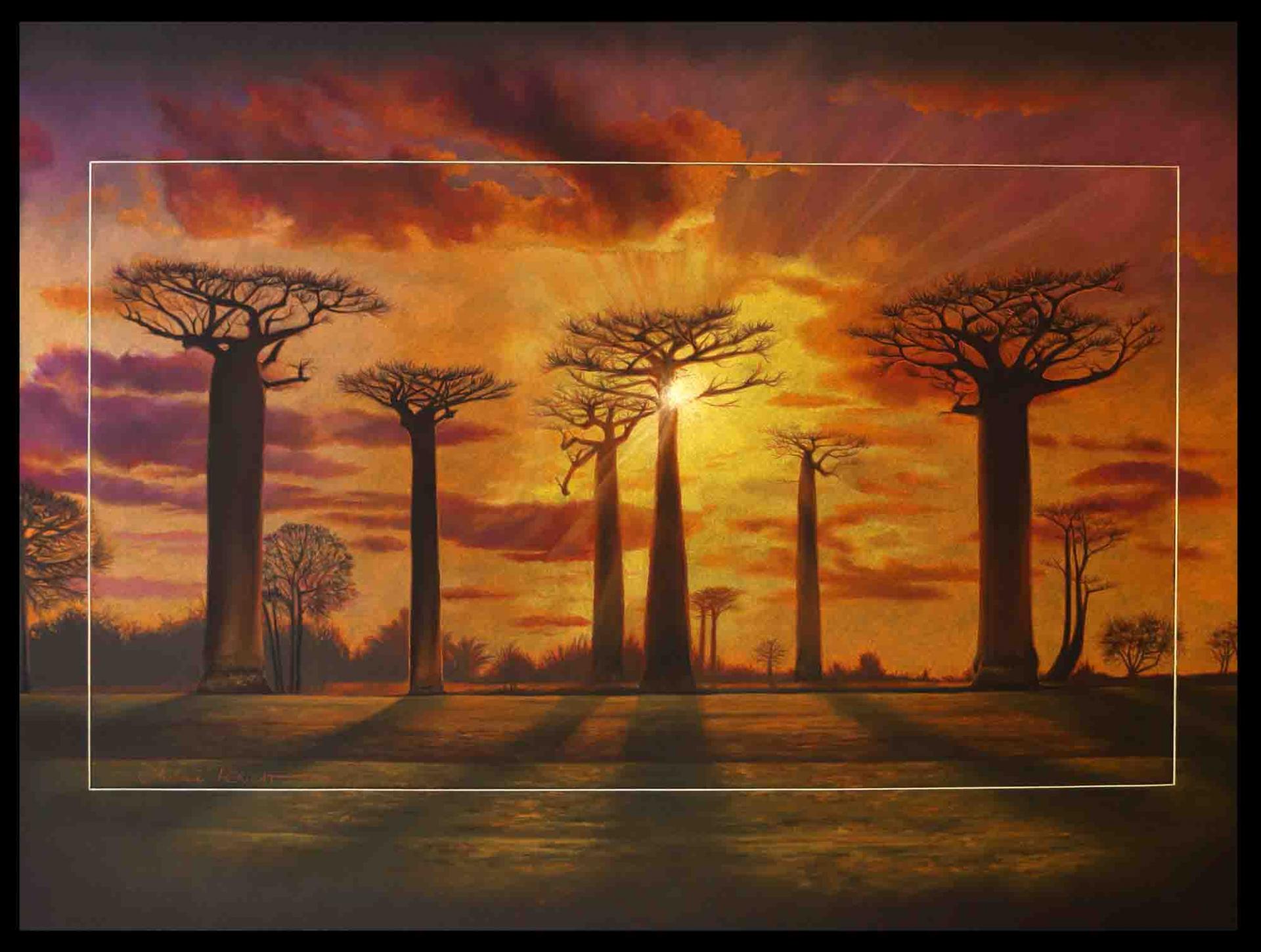 Baobabs de Madagascar - 60x80cm
