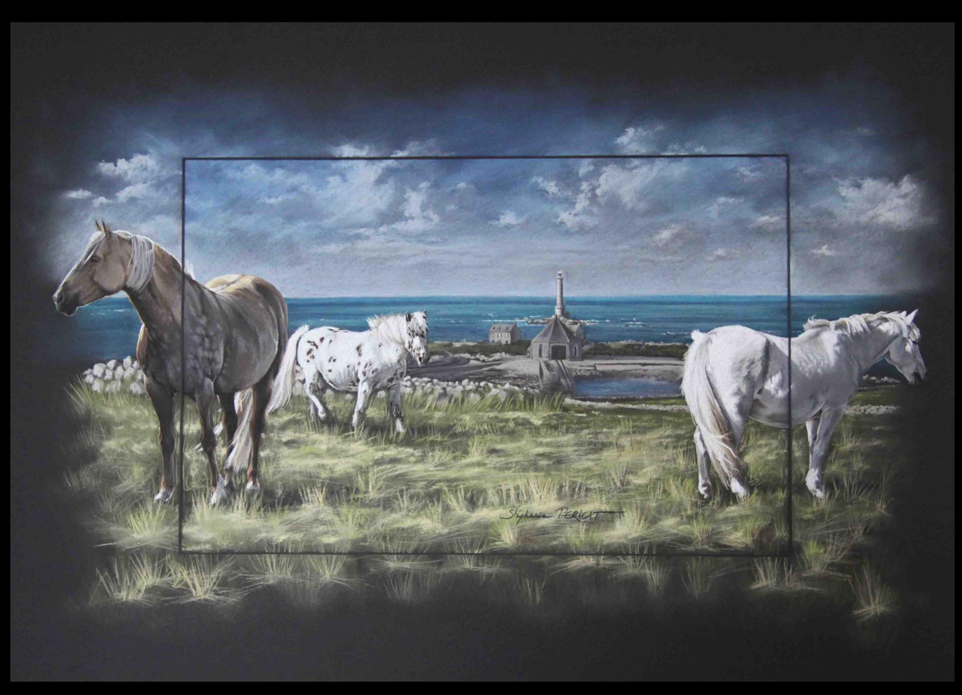 GOURY ET CHEVAUX (goury and horses) -  50x70cm