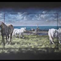 GOURY ET CHEVAUX (goury and horses) -  50x70cm